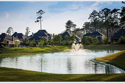 10467 Lake Palmetto Drive, Conroe, TX 77385 - Photo 8