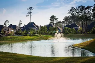 10467 Lake Palmetto Dr, Conroe, TX 77385 - Photo 8