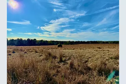 Lot 103 Lakeland Drive, Hillister, TX 77624 - Photo 4