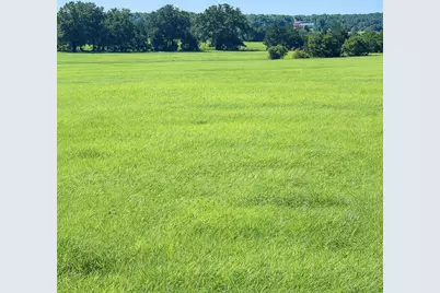 Tbd (+/- 38.77 Acres) Andreski Road, Bremond, TX 76629 - Photo 4