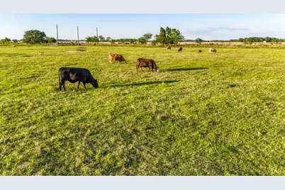 2455 County Road 289, East Bernard, TX 77435 - Photo 28
