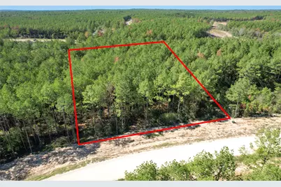 15409 Forest Grove Drive, Willis, TX 77378 - Photo 4