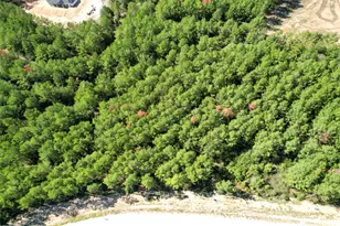 15409 Frst Grv Dr, Willis, TX 77378 - Photo 18