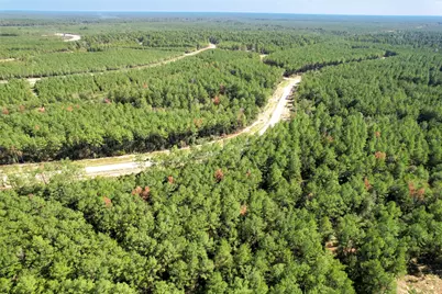 15409 Forest Grove Drive, Willis, TX 77378 - Photo 16