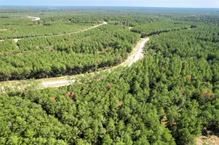 15409 Frst Grv Dr, Willis, TX 77378 - Photo 16