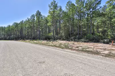 15409 Forest Grove Drive, Willis, TX 77378 - Photo 28