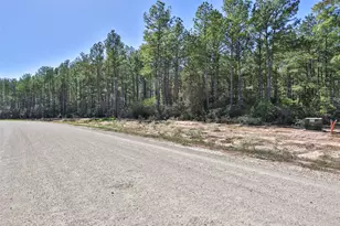 15409 Frst Grv Dr, Willis, TX 77378 - Photo 28