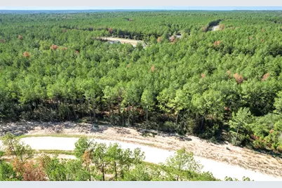 15409 Forest Grove Drive, Willis, TX 77378 - Photo 12