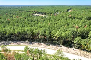 15409 Frst Grv Dr, Willis, TX 77378 - Photo 12