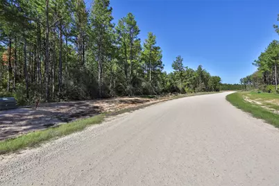 15409 Forest Grove Drive, Willis, TX 77378 - Photo 20