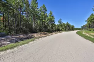 15409 Frst Grv Dr, Willis, TX 77378 - Photo 20