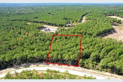 15409 Forest Grove Drive, Willis, TX 77378 - Photo 22