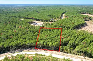 15409 Frst Grv Dr, Willis, TX 77378 - Photo 22