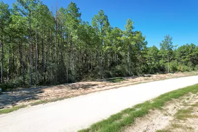 15409 Forest Grove Drive, Willis, TX 77378 - Photo 10