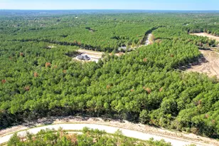 15409 Frst Grv Dr, Willis, TX 77378 - Photo 14