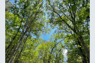 1 New Haven Road, Milam, TX 75948 - Photo 8