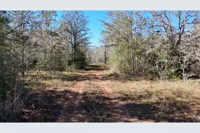 7180 County Road 283, Harwood, TX 78632 - Photo 34