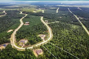 11567 Inspiration Dr, Willis, TX 77378 - Photo 1