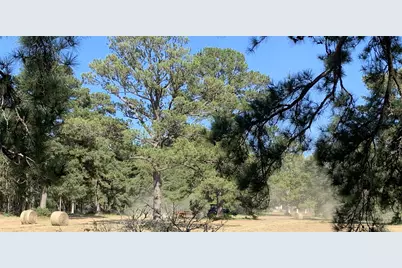 23004 Landrum Village Drive, Montgomery, TX 77316 - Photo 32