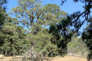 23004 Landrum Village Dr, Montgomery, TX 77316 - Photo 32