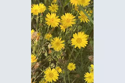 23004 Landrum Village Drive, Montgomery, TX 77316 - Photo 24