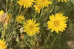 23004 Landrum Village Dr, Montgomery, TX 77316 - Photo 24