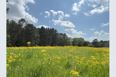 23004 Landrum Village Drive, Montgomery, TX 77316 - Photo 28