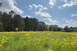 23004 Landrum Village Dr, Montgomery, TX 77316 - Photo 28