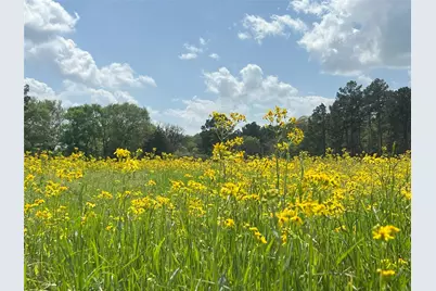 23004 Landrum Village Drive, Montgomery, TX 77316 - Photo 36