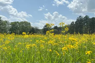 23004 Landrum Village Dr, Montgomery, TX 77316 - Photo 36