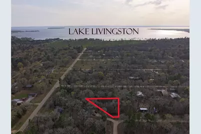 Tbd Mossy Drive, Livingston, TX 77351 - Photo 10