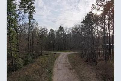 Tbd Mossy Drive, Livingston, TX 77351 - Photo 4