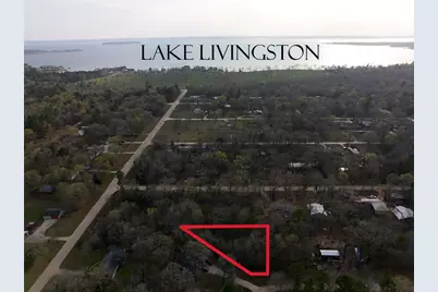 Tbd Mossy Drive, Livingston, TX 77351 - Photo 1