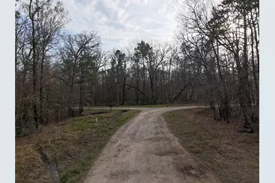 Tbd Mossy Drive, Livingston, TX 77351 - Photo 6