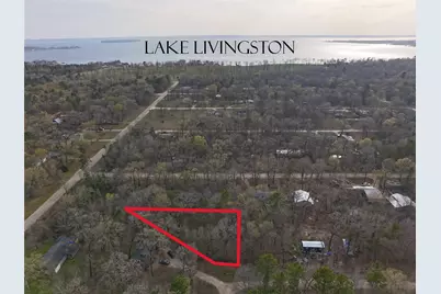 Tbd Mossy Drive, Livingston, TX 77351 - Photo 1
