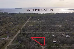 Tbd Mossy Dr, Livingston, TX 77351 - Photo 1