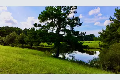 Tbd England Ln, Coldspring, TX 77331 - Photo 44
