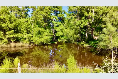 Tbd England Ln, Coldspring, TX 77331 - Photo 30