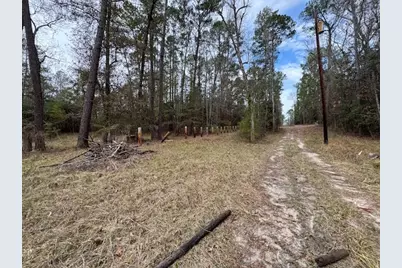 2226 Wells Landing Road, Onalaska, TX 77360 - Photo 12