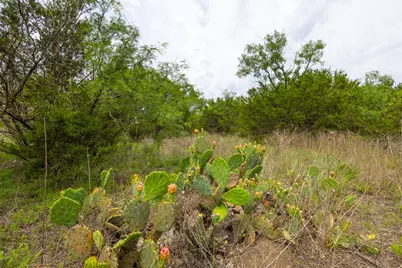 000 County Road 2773, Lometa, TX 76853 - Photo 12