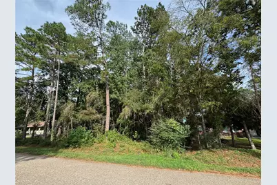 N/A Woodcreek Drive, Willis, TX 77318 - Photo 4