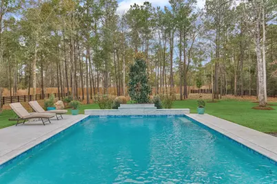 7709 Dog Wood Acres Drive, Montgomery, TX 77316 - Photo 46