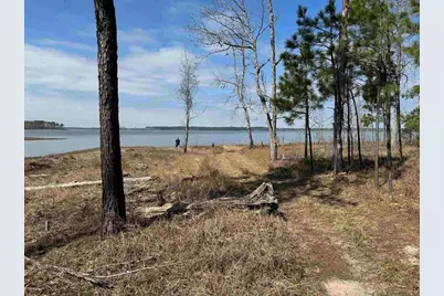 064 Private Road 6026 Tract 1-64, Brookeland, TX 75931 - Photo 6