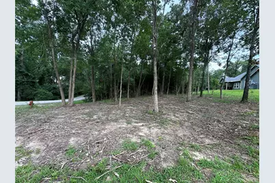 000 Lake Drive, Onalaska, TX 77360 - Photo 6