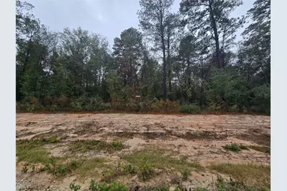 142 Splendid Road, New Waverly, TX 77358 - Photo 1