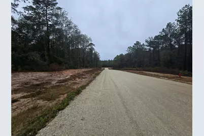 142 Splendid Road, New Waverly, TX 77358 - Photo 2