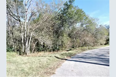 0 Brazos River Drive, Damon, TX 77430 - Photo 1