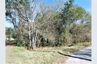 0 Brazos River Drive, Damon, TX 77430 - Photo 2