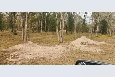 0 Cr-409, Sweeny, TX 77480 - Photo 2