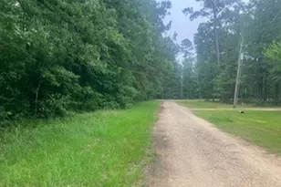 000 Wildwood Flower Circle, Livingston, TX 77351 - Photo 1